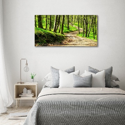 Quadro su vetro Sentiero nella foresta