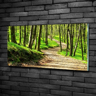 Quadro su vetro Sentiero nella foresta
