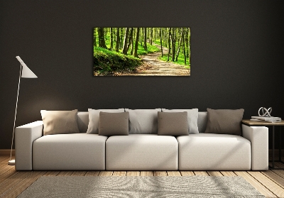 Quadro su vetro Sentiero nella foresta