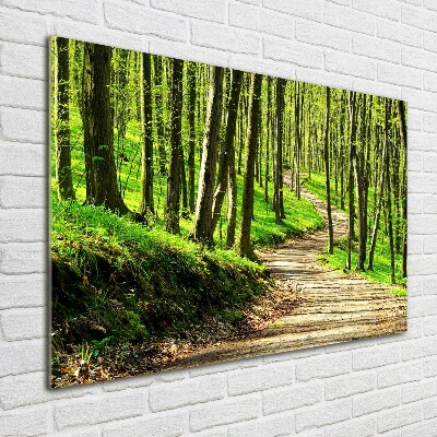 Quadro su vetro Sentiero nella foresta