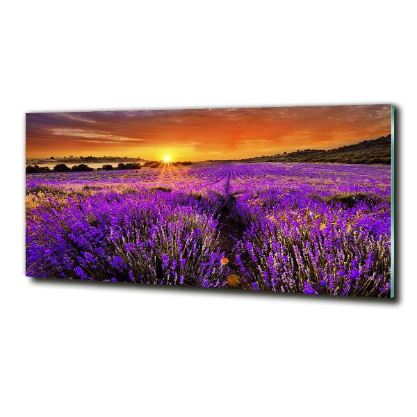 Quadro vetro Campo di lavanda