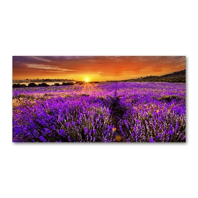 Quadro vetro Campo di lavanda