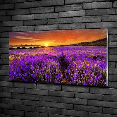 Quadro vetro Campo di lavanda