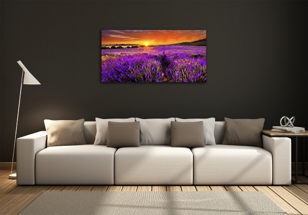 Quadro vetro Campo di lavanda