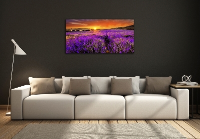 Quadro vetro Campo di lavanda