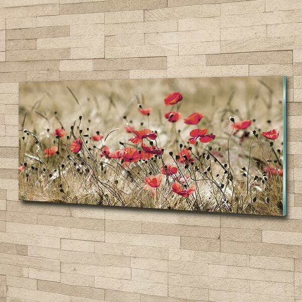 Quadro in vetro Papaveri