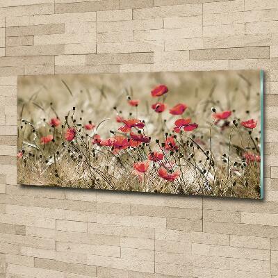 Quadro in vetro Papaveri