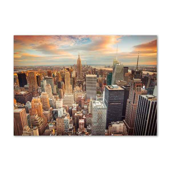 Quadro vetro Vista a volo d'uccello di New York
