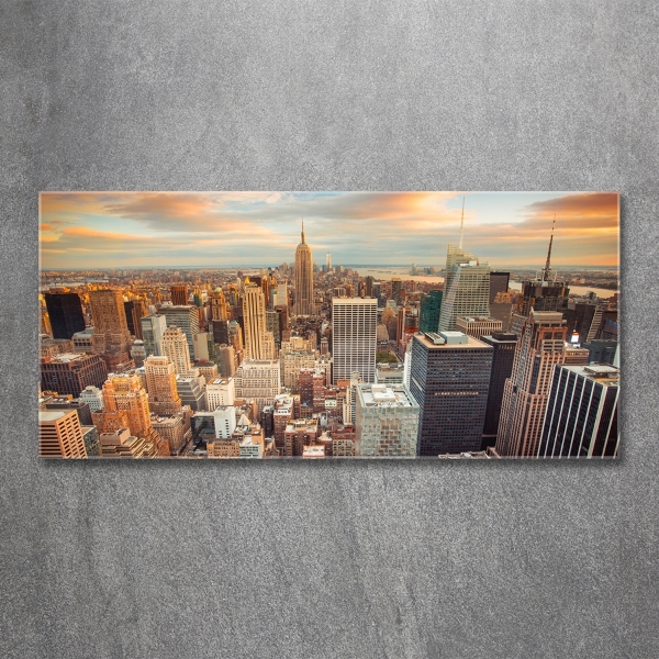 Quadro vetro Vista a volo d'uccello di New York