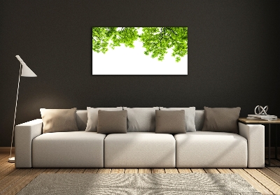 Quadro vetro Foglie di quercia