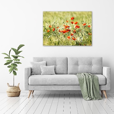 Quadro su vetro Papaveri