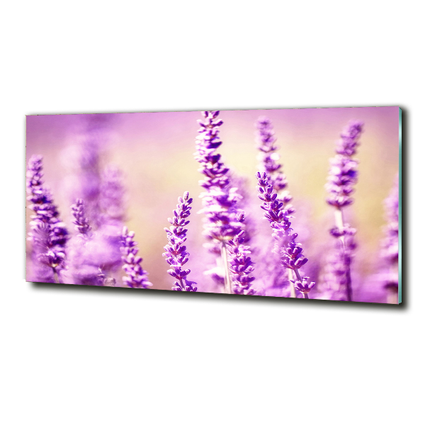 Quadro vetro Lavanda