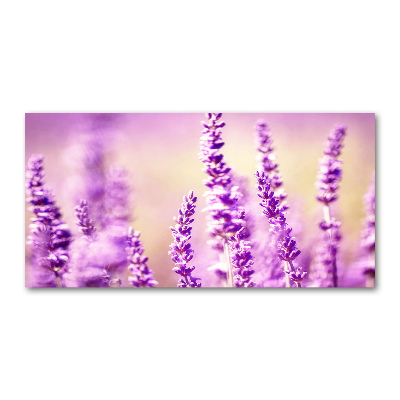 Quadro vetro Lavanda