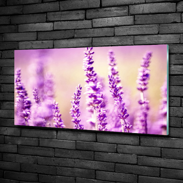 Quadro vetro Lavanda