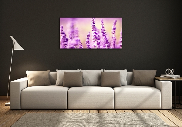 Quadro vetro Lavanda