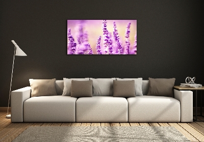 Quadro vetro Lavanda