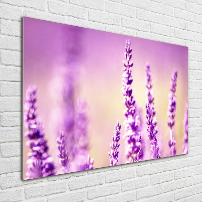 Quadro vetro Lavanda
