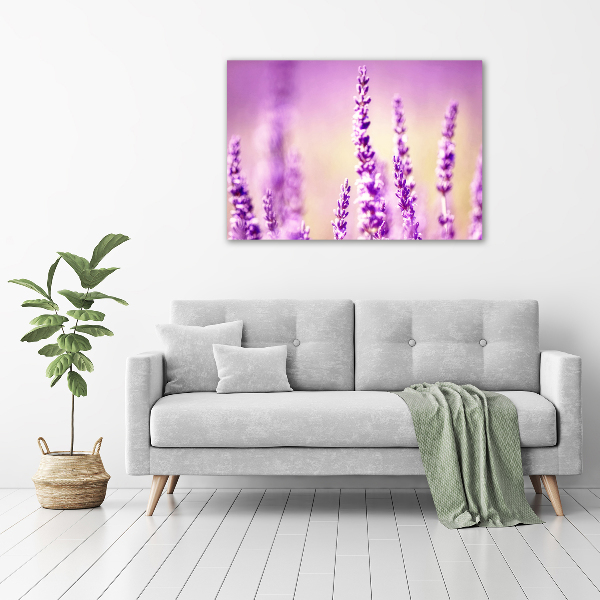 Quadro vetro Lavanda