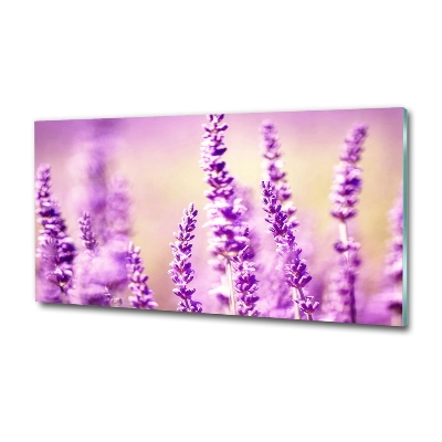 Quadro vetro Lavanda