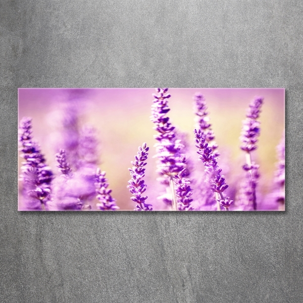 Quadro vetro Lavanda