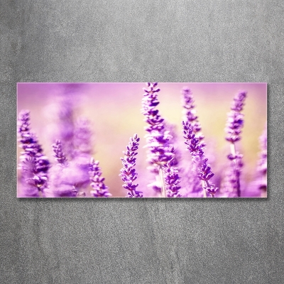 Quadro vetro Lavanda