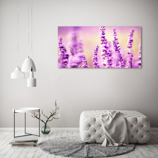 Quadro vetro Lavanda