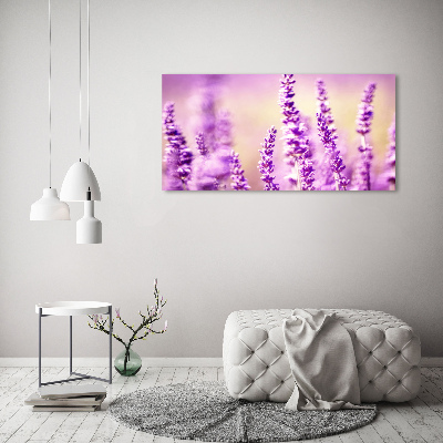 Quadro vetro Lavanda