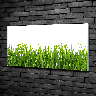 Quadro in verde Erba
