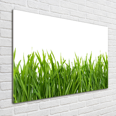 Quadro in verde Erba