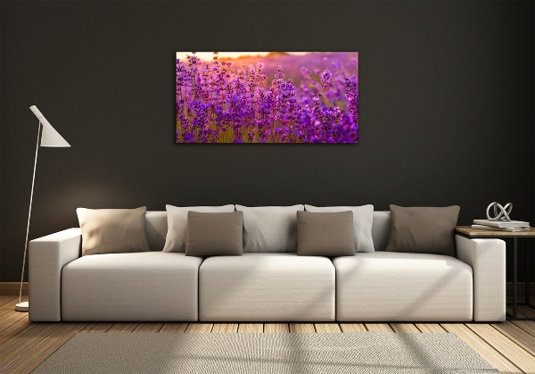Quadro su vetro Campo di lavanda