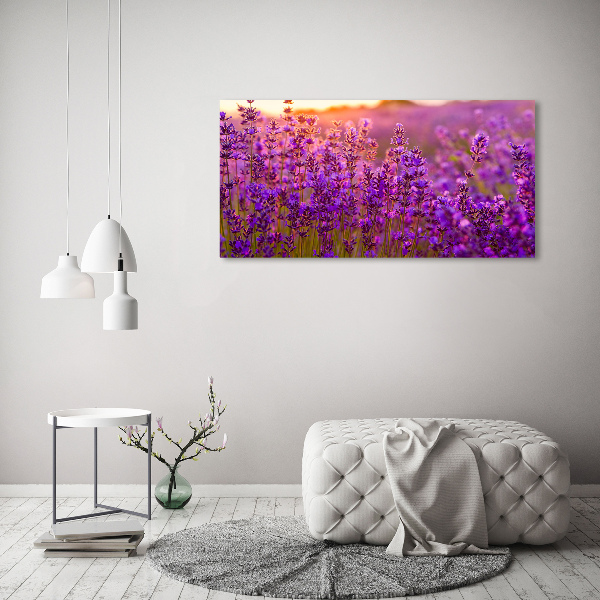 Quadro su vetro Campo di lavanda