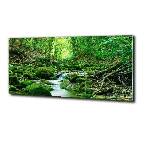 Quadro vetro Un ruscello nella foresta