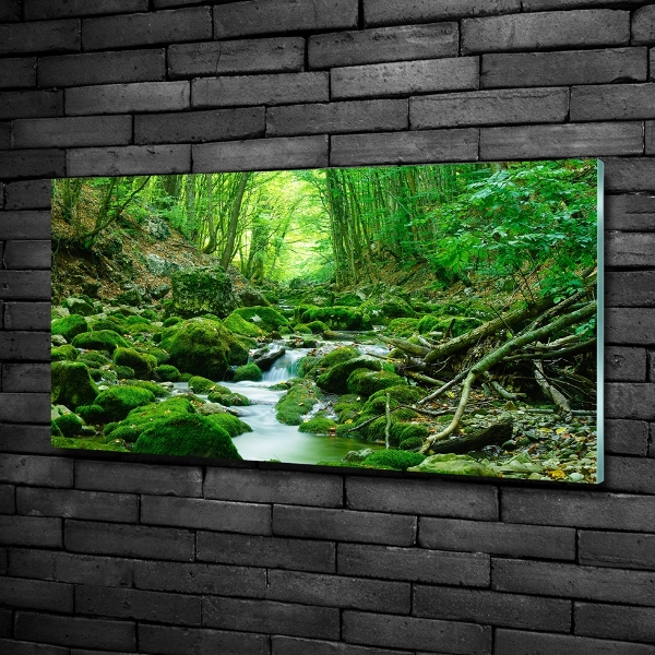 Quadro vetro Un ruscello nella foresta
