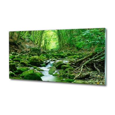 Quadro vetro Un ruscello nella foresta
