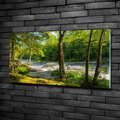 Quadro su vetro Fiume nella foresta