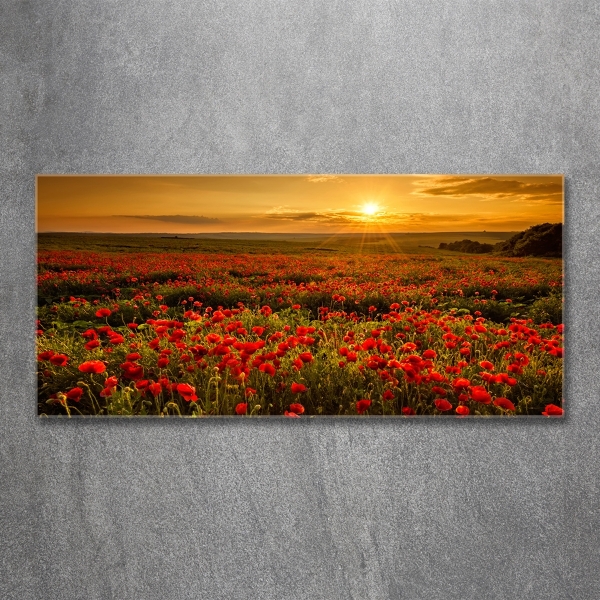 Quadro su vetro Campo di papaveri