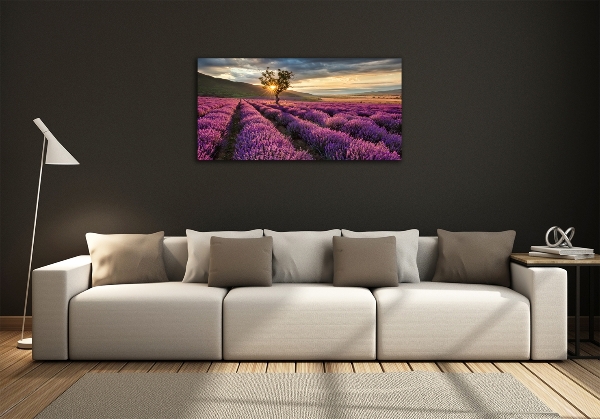 Quadro vetro Campo di lavanda