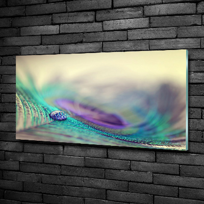 Quadro su vetro Una goccia su una piuma