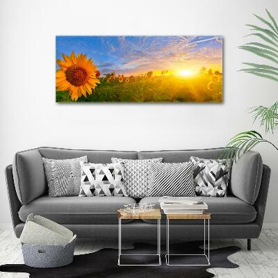 Quadro su vetro Un campo di girasoli