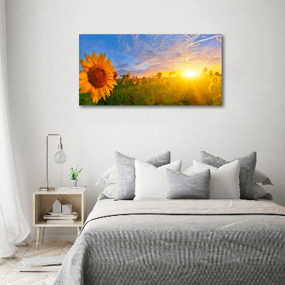 Quadro su vetro Un campo di girasoli