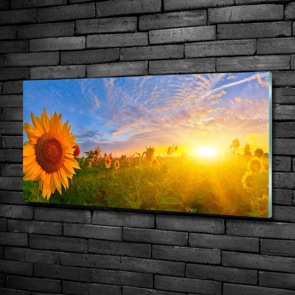 Quadro su vetro Un campo di girasoli