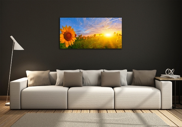 Quadro su vetro Un campo di girasoli