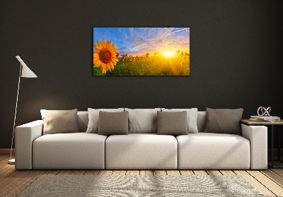 Quadro su vetro Un campo di girasoli