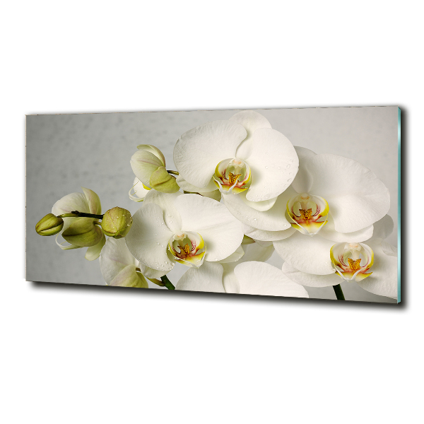 Quadro vetro Orchidea bianca