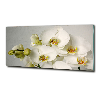 Quadro vetro Orchidea bianca