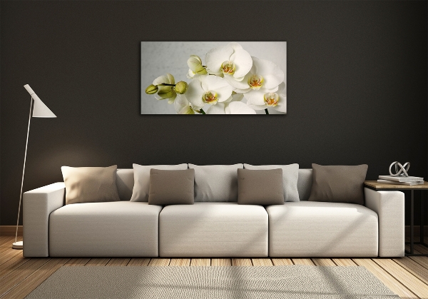 Quadro vetro Orchidea bianca