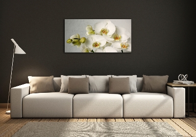 Quadro vetro Orchidea bianca