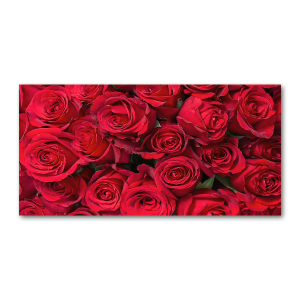 Quadro su vetro Rose rosse