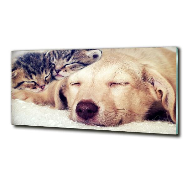 Quadro in verde Cuccioli e gatti