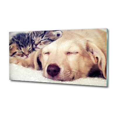 Quadro in verde Cuccioli e gatti